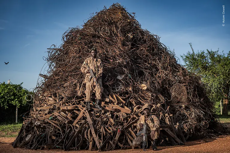 © Adam Oswell, Wildlife Photographer of the Year